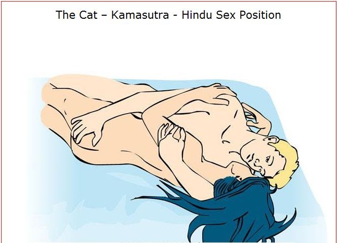 Cat position sex